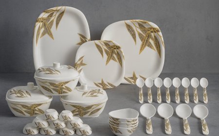 Karamchari Laghu Udyog Mujesar Crockery Manufacturer Faridabad 4.9