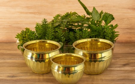 Safina Handicrafts Mughal Pura Premier Artisan Manufacturer Moradabad 3.0