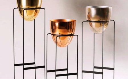 Dynamic Home Decor Maqbara Road Moradabad 5.0